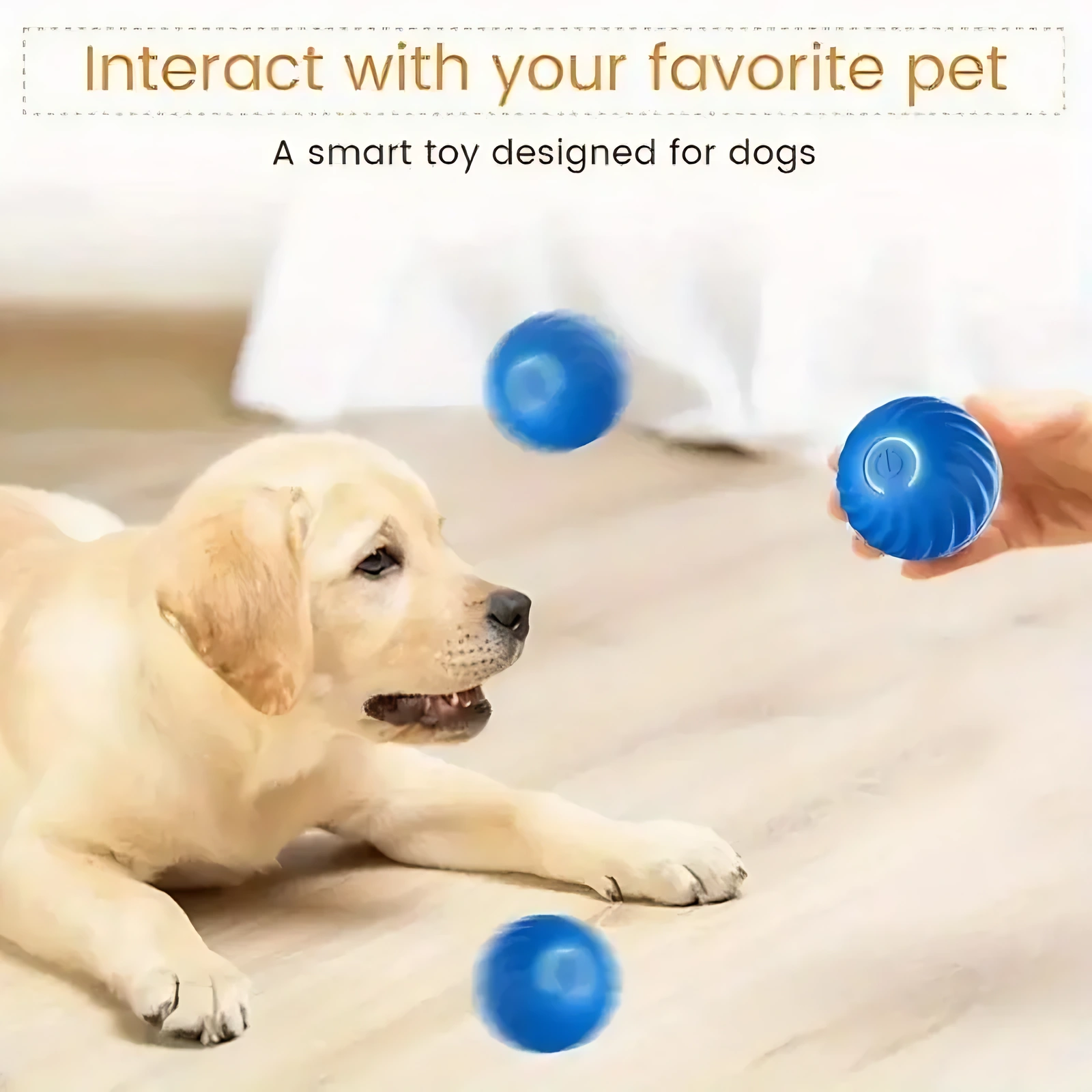 Blue Orange Pet Bouncing Ball Fun