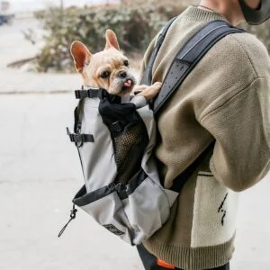 Pet Dog Carrier Bag Carrier for Dogs Backpack Out Double Sho