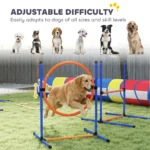Dog Agility Training Equipment Ring