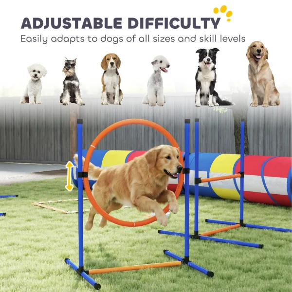 Dog Agility Training Equipment Ring