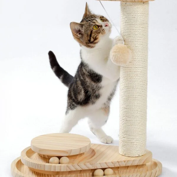 Indoor Cat Soft Scratching Board And Interactive Ball Track Toy Cat Rest And Grooming Supplies