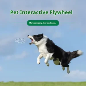 Pet Interactive Flywheel Dog Toy Fun