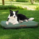 Medium Dog Outdoor Removable and Washable Inflatable Waterpr