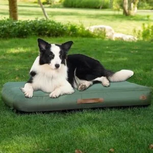 Medium Dog Outdoor Removable and Washable Inflatable Waterpr