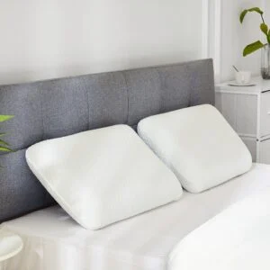Memory Foam Pillow Detachable Washable