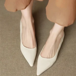 Elegant Pointed Toe Low Heel Shoes