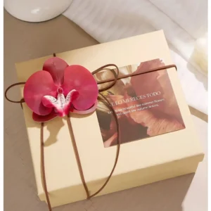 Kraft Paper Gift Box for Wedding Business Events
