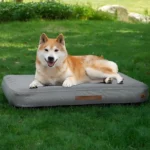 Medium Dog Outdoor Removable and Washable Inflatable Waterpr