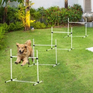 4-piece Dog Agility Training Equipment with Height-adjustabl