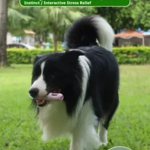 DOG Chew Toys for Teeth Cleaning