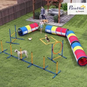 Dog Agility Training Equipment Ring