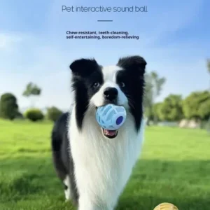 Pet Interactive Sound Ball Mellow Dog