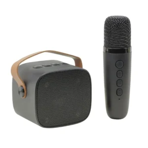 Portable Karaoke Bluetooth Speaker with Microphone