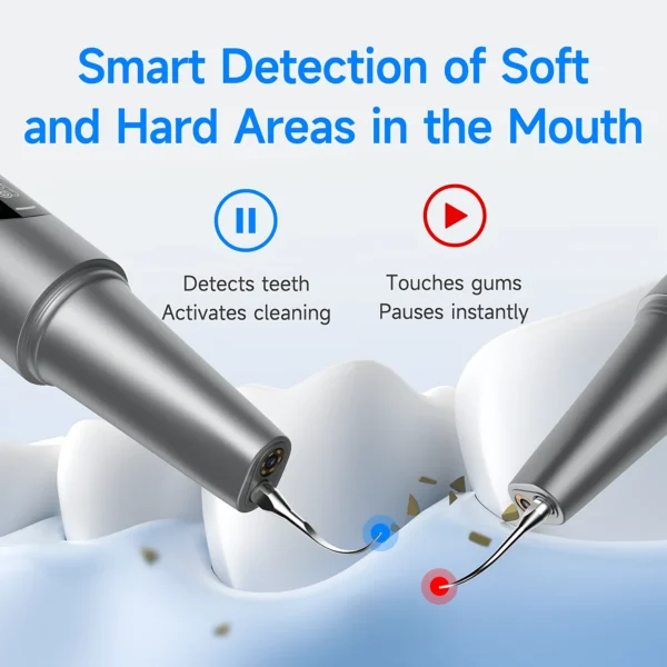 Ultrasonic Dental Scaler and Tartar Remover