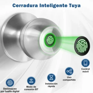 Tuya Smart Fingerprint Door Lock with App Control
